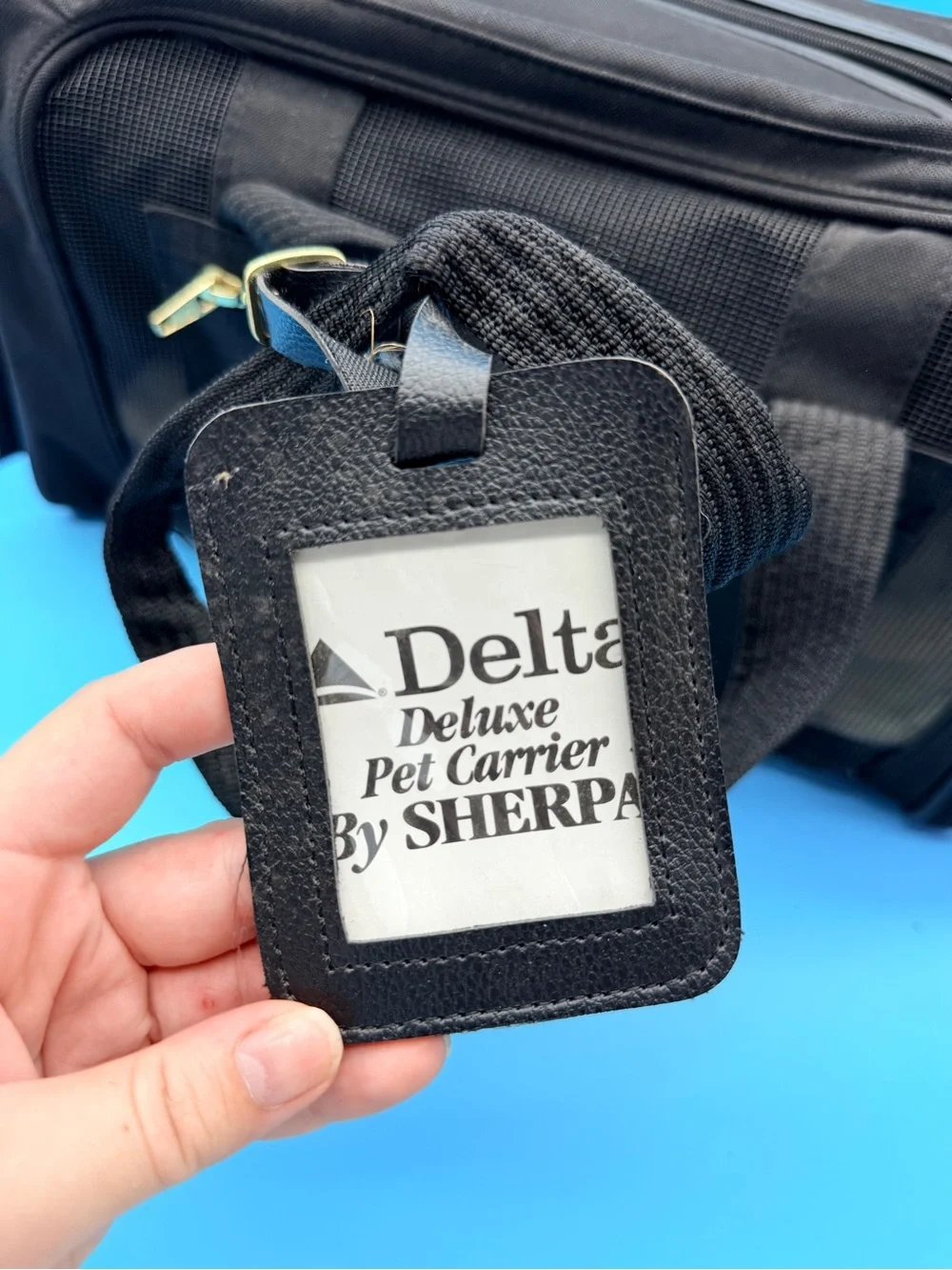 Delta Black Travel Pet Carrier Tote with Mesh Windows